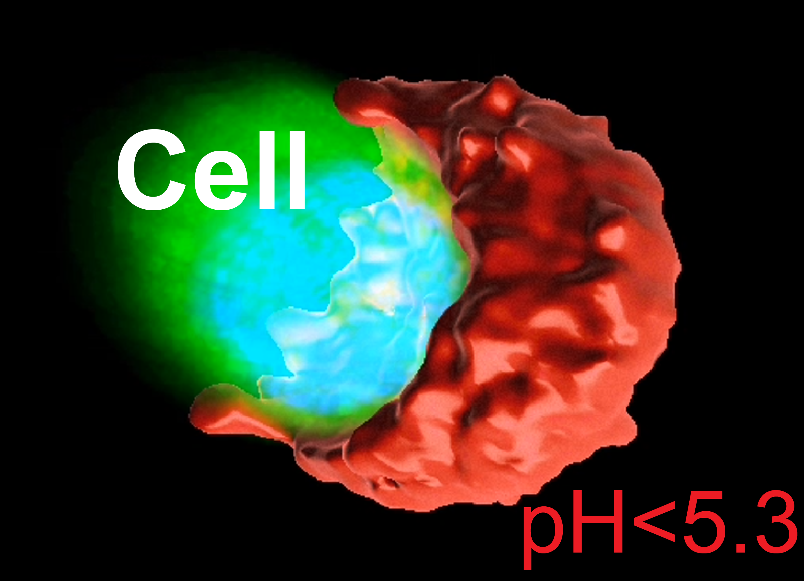 SPEAR nanoprobe imaging showing acidic regions in tumors